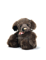 Charlie Bears Boomerang